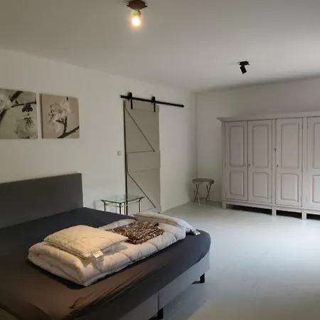 Maison Salmchateau * ヴィエルサルム